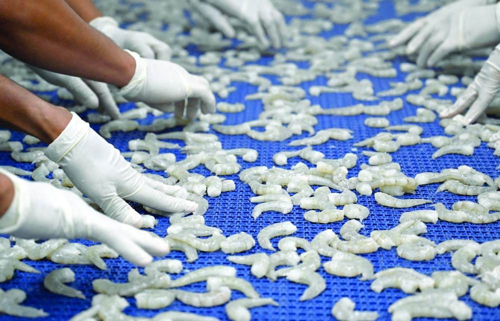 Employees work during shrimp freezing process for their exportation in Choluteca, Honduras. - AFP