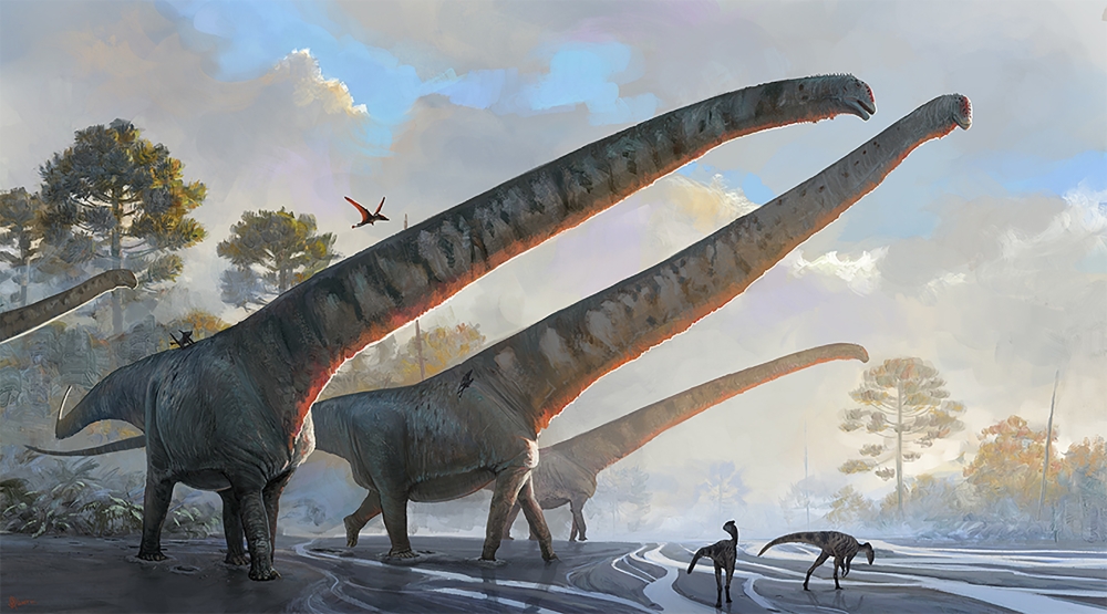 An artists impression of Mamenchisaurus sinocanadorum. (Jlia d'Oliveira via The New York Times)