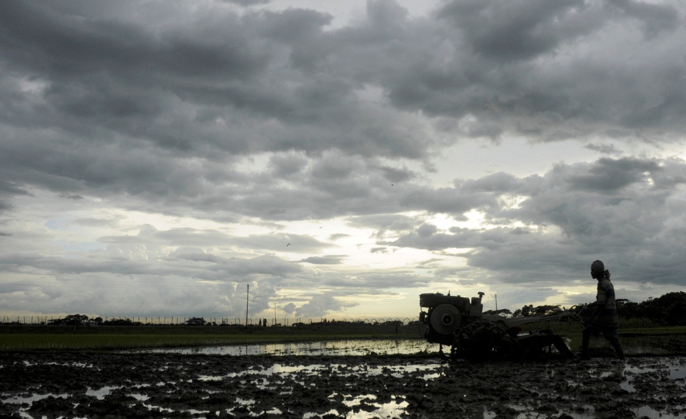  A farmer works on his paddy field against the backdrop of monsoon clouds at Shanmura on the outskirts of Agartala, capital of India's northeastern state of Tripura, July 19, 2009. REUTERS/Jayanta Dey/File Photo