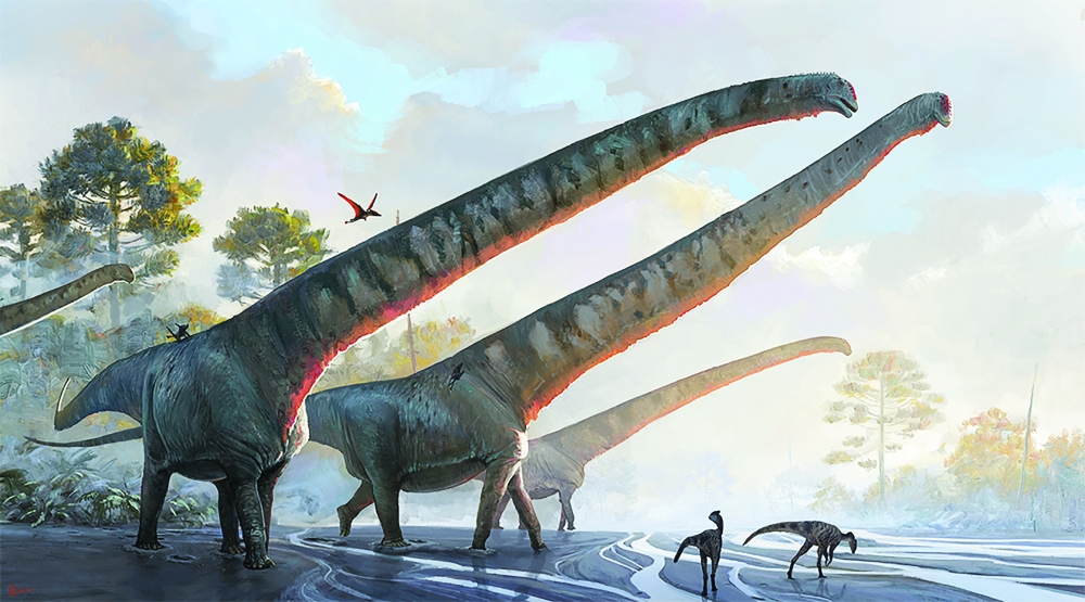 An artists impression of Mamenchisaurus sinocanadorum. (Jlia d'Oliveira via The New York Times)