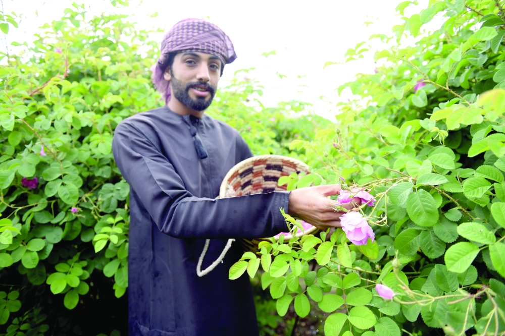 ​​​​​​​Photos : Shamsa al Harthi