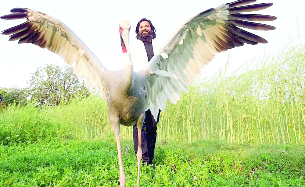 Mohammad Arif rescued the injured Sarus crane and nursed it back to health.