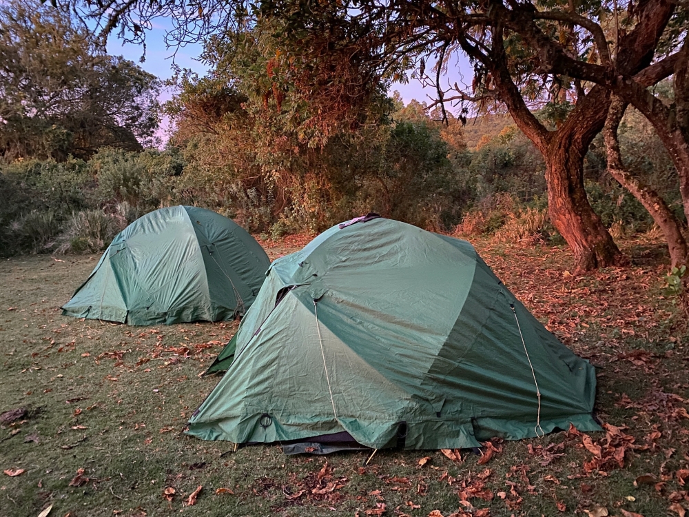 Dew-drenched tents near the Maasai village of Nainokanoka, in Tanzania on Nov. 10, 2022. (Patrick Scott/The New York Times)