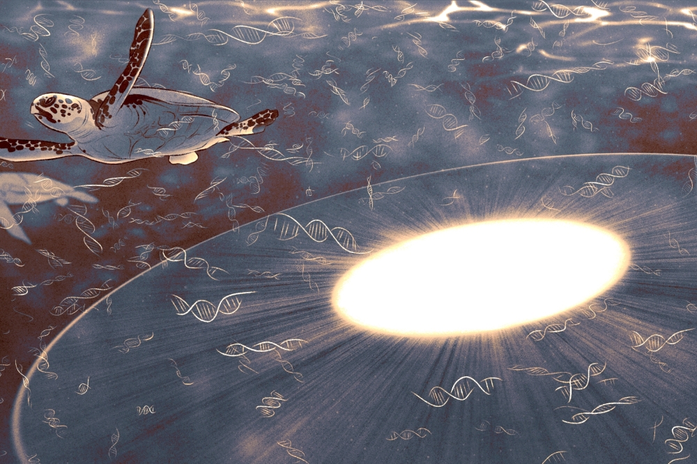 Environmental DNA research has aided conservation, but scientists say its ability to glean information about human populations and individuals poses dangers. (Isabel Seliger/The New York Times)