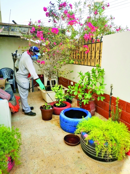 Campaign begins to combat Aedes aegypti in Muscat - Vimarsana News