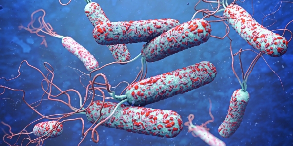 One billion threatened by cholera: UN - Vimarsana News