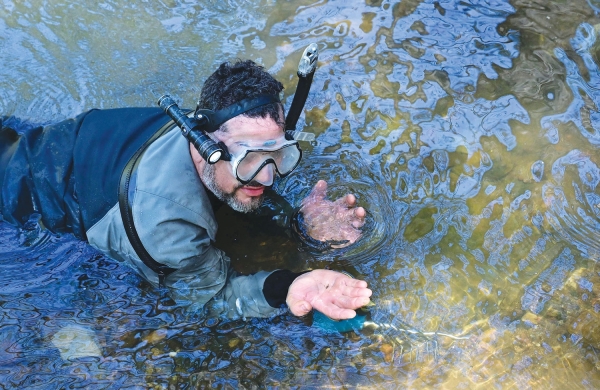 California's wet winter sparks a new gold rush - Vimarsana News