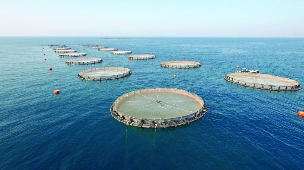 (Picture for illustration only)
