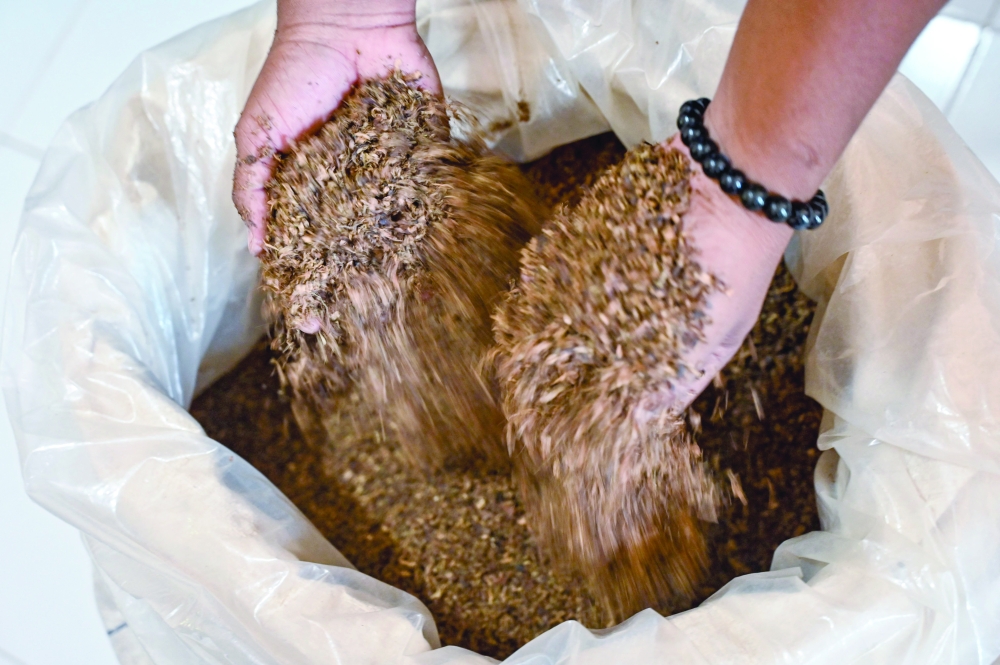 An owner displays tobacco, which is used to produce homemade cigarettes at Darussalam on the outskirts of Banda Aceh. — AFP 
