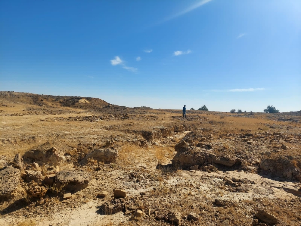 An area of the Thar Desert in India’s Rajasthan state where 167-million-year-old dicraeosaurid fossils were found. (Krishna Kumar via The New York Times)