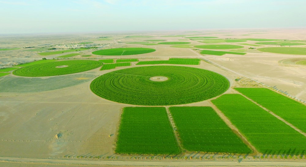 The Al Najd agricultural farm in seen in this illustration image.