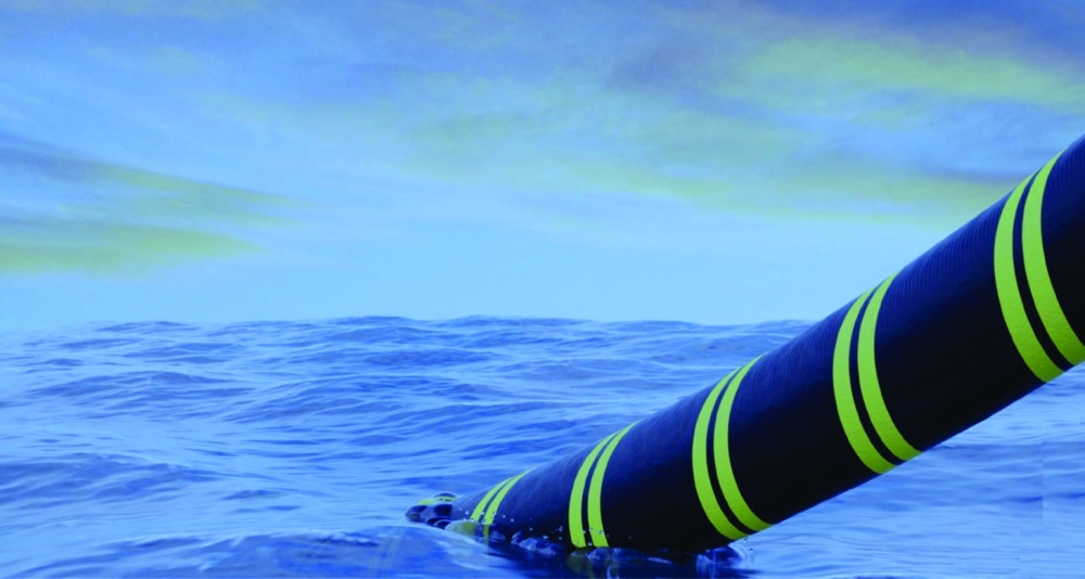 Picture for illustration only

