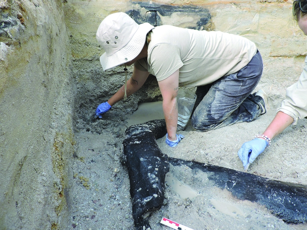 Researchers uncover a wooden structure on the banks of the Kalambo River in Zambia. - Reuters