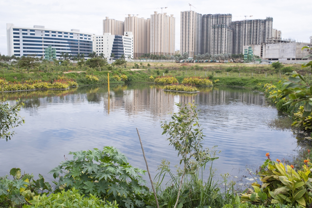 High-rise office and apartment buildings near a lake revived by Anand Malligavad, known as “Lake Man,” in Bengaluru, India, July 27, 2023. (Priyadarshini Ravichandran/The New York Times)
