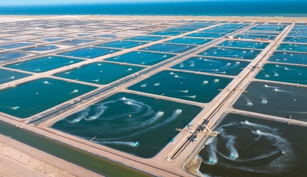 Oman to participate in Global Fishery Forum, Seafood Expo