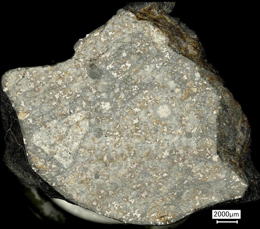 The first meteorite sample whose fall was monitored