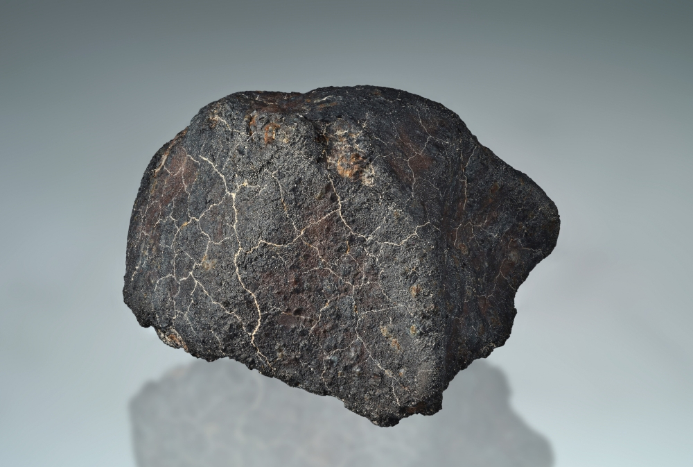 The first meteorite sample whose fall was monitored