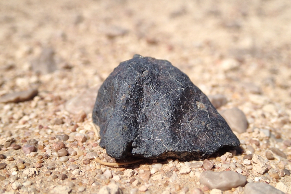 The first meteorite sample whose fall was monitored