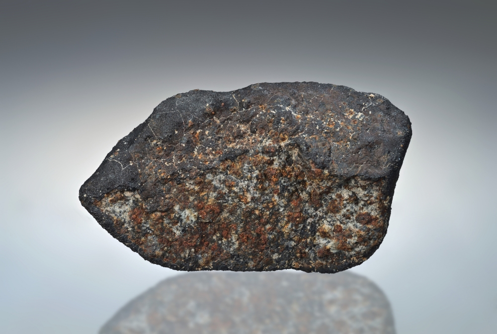 The first meteorite sample whose fall was monitored