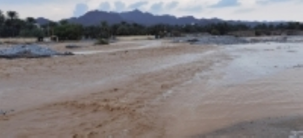 Many wilayats in the northern governorates of Oman received rain on Sunday,