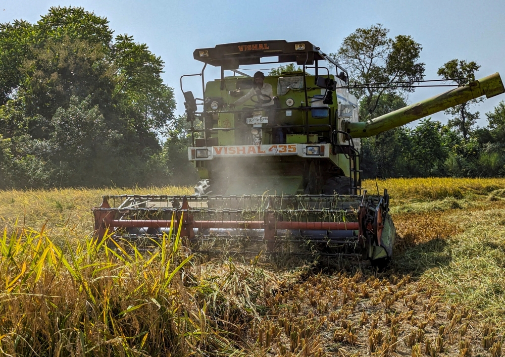A farmer uses a combine harvester to harvest paddy in a field at Haidergarh village, in the northern state of Uttar Pradesh, India October 19, 2023. REUTERS/Rajendra Jadhav