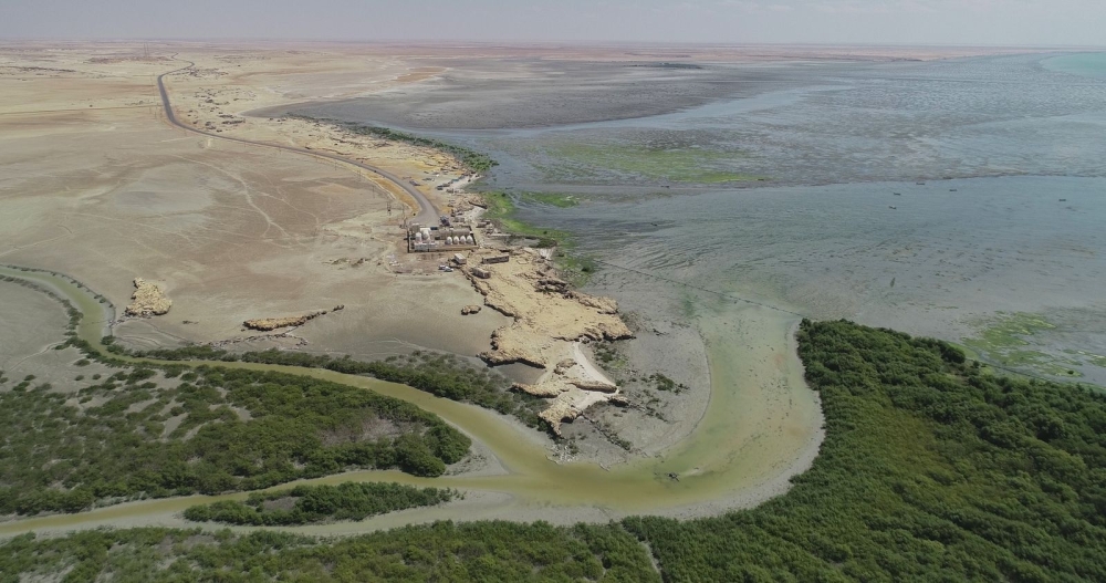 Al Wusta wetland listed world wetland site