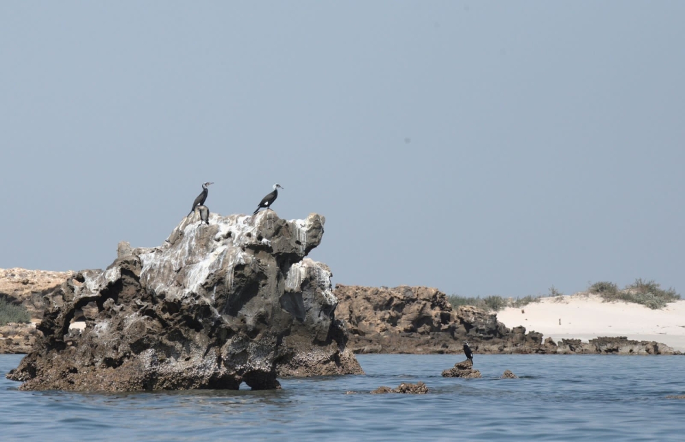 Al Wusta wetland listed world wetland site