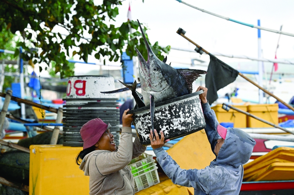A woman picks up a bucket with a Marlin fish at a beach in Kedonganan near Denpasar on Indonesia's resort island of Bali on November 4, 2023.
