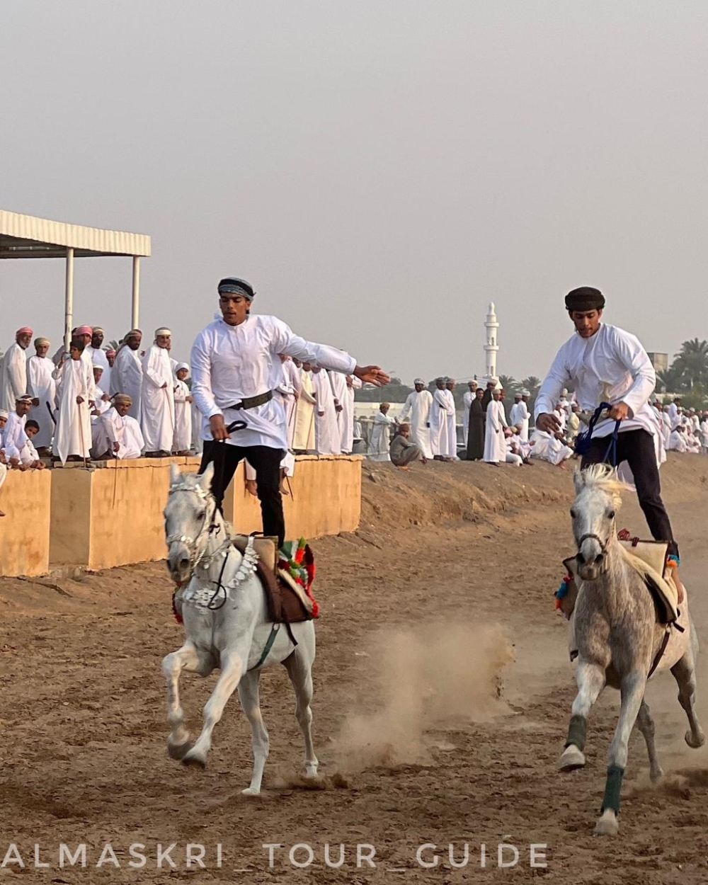 Racing legacy: A tale of horses, camels and tradition