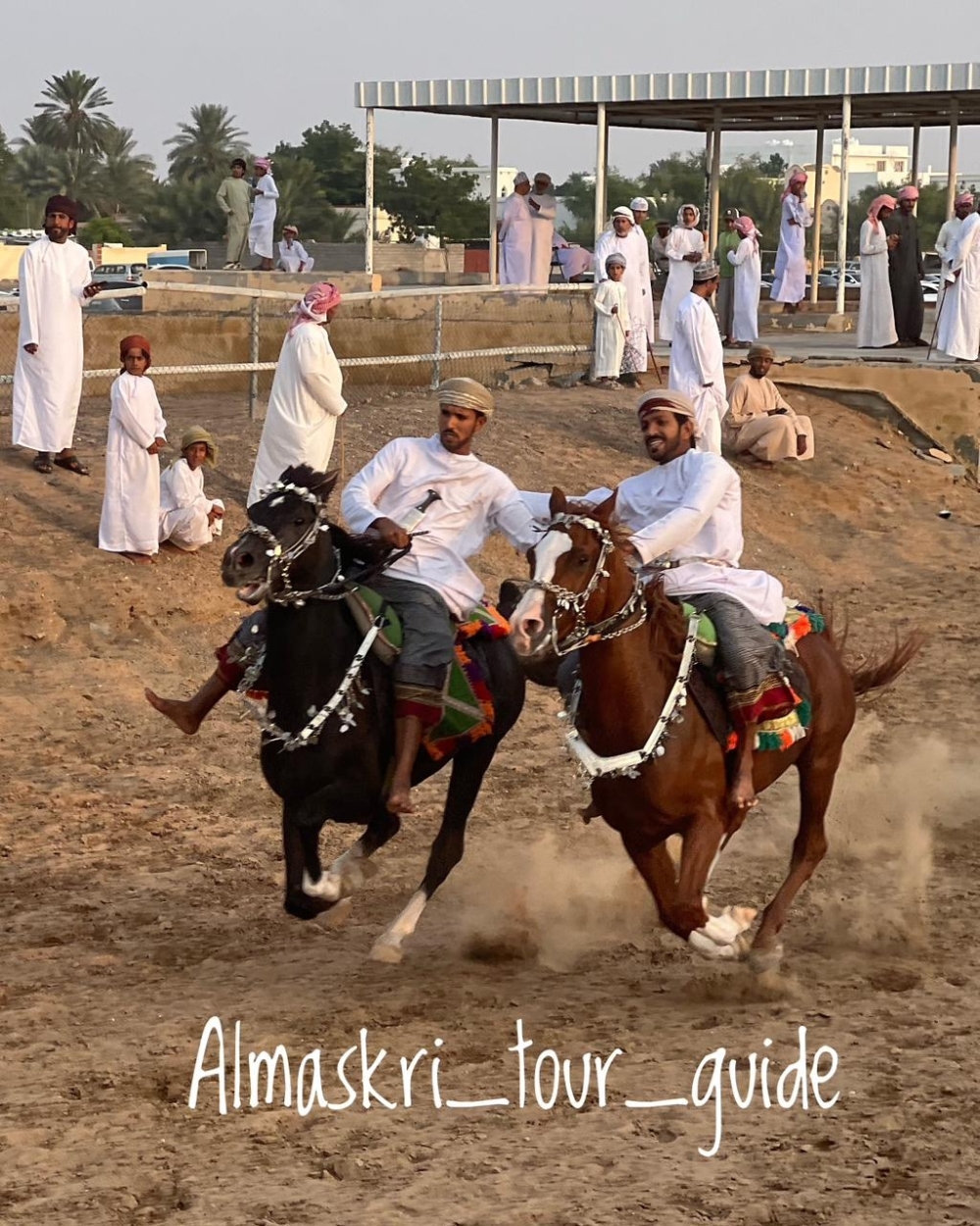 Racing legacy: A tale of horses, camels and tradition