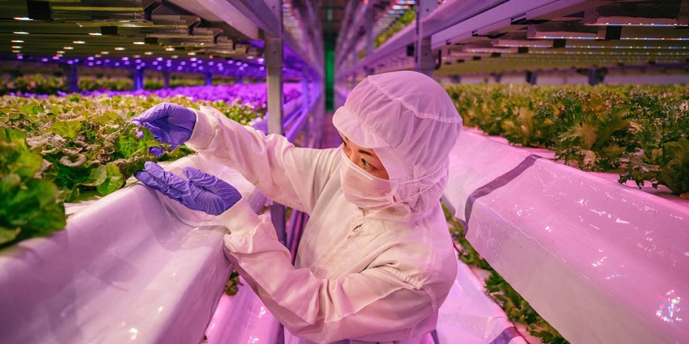 A future beyond 1.5°C will look very different from our current reality.