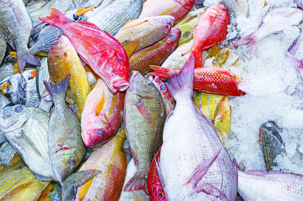The fish farming sector is considered one of the leading sectors in Oman