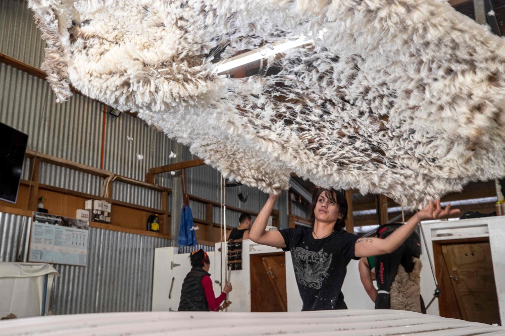 Millie Aporo Renata checking wool at the 6,500-hectare Lake Hawea Station. — AFP
