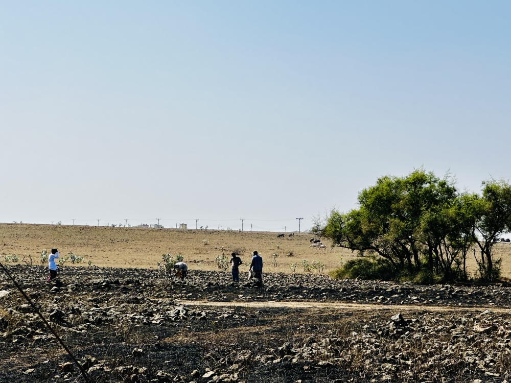The Civil Defence and Ambulance Department in Dhofar Governorate deployed fire and rescue teams, effectively containing and extinguishing the blazes