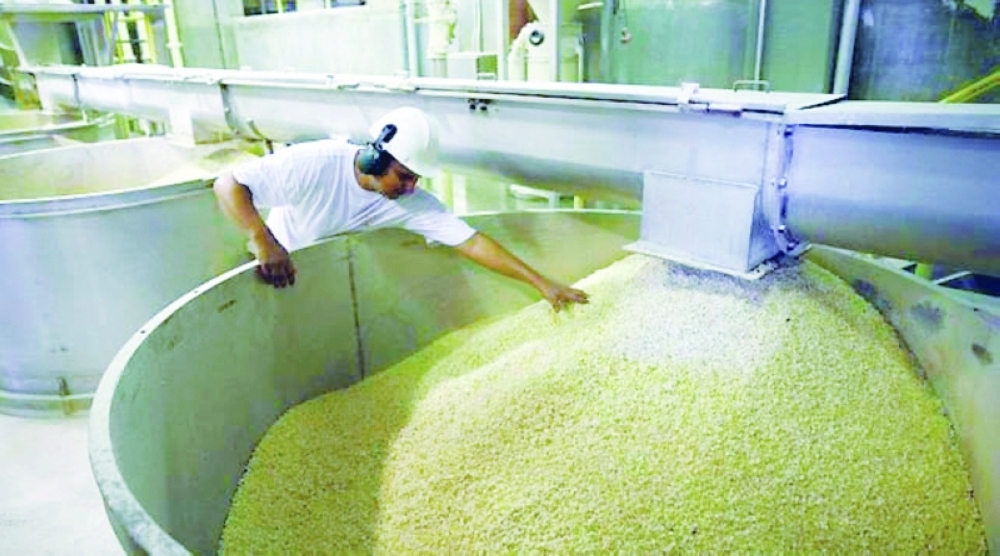 Oman's agriculture sector has an investment opportunity of RO 320 million amid RO 4.8 billion in food imports.