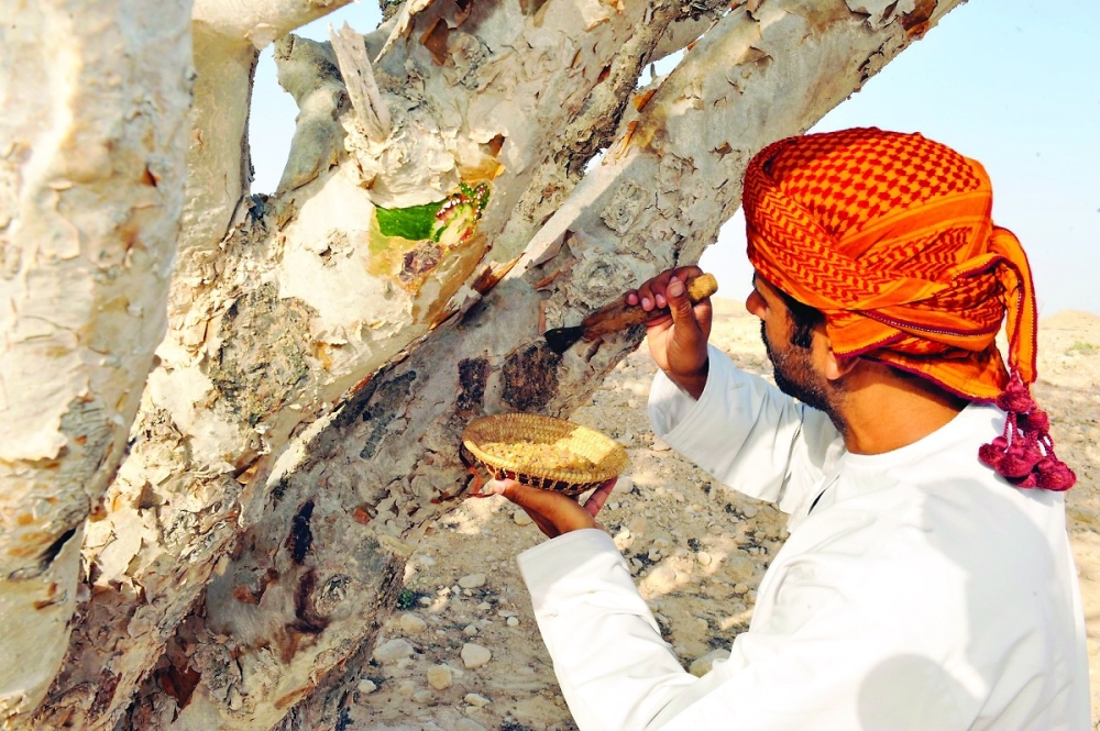 The Frankincense season will feature a captivating lineup of activities and events