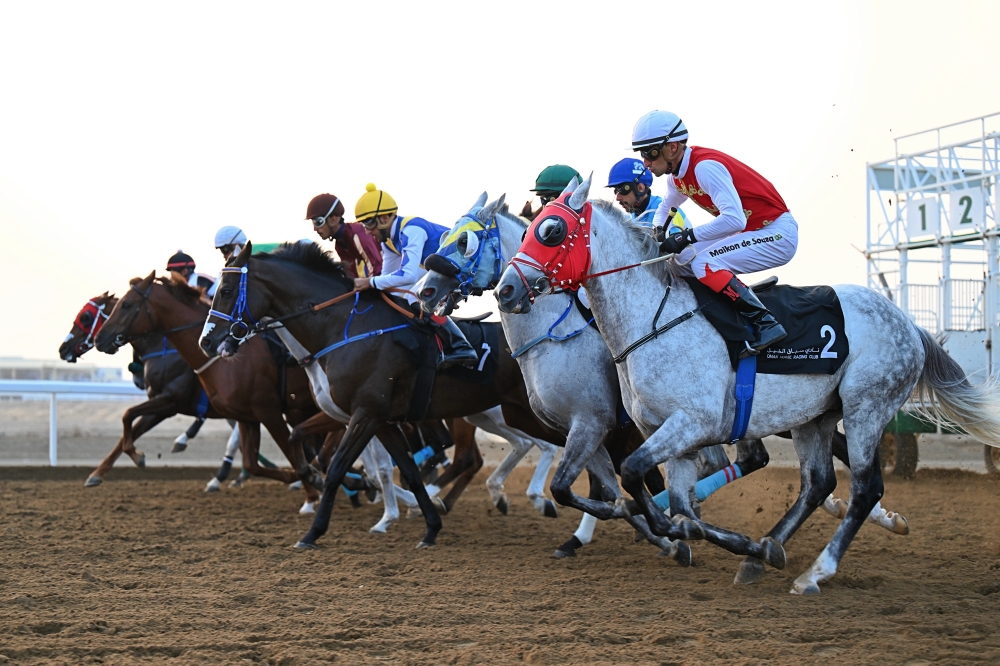 Purebred hybrid horses race over a distance of 2,000 metres