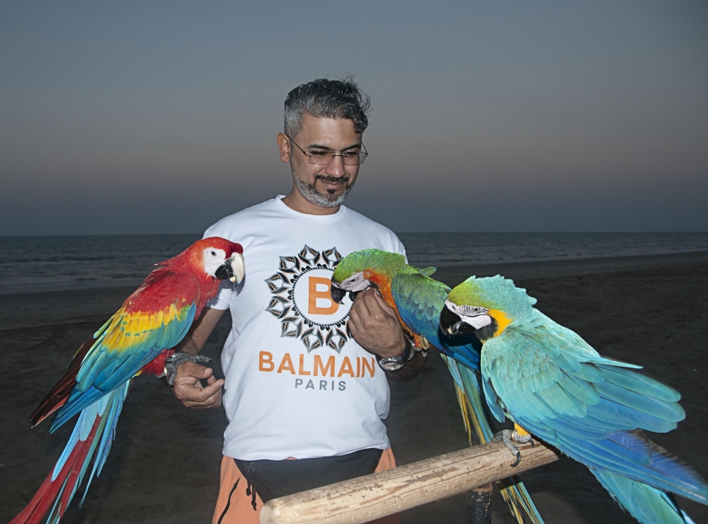 Member of the team preparing birds for the show