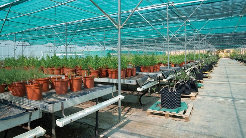 Photos by Midhun Raj