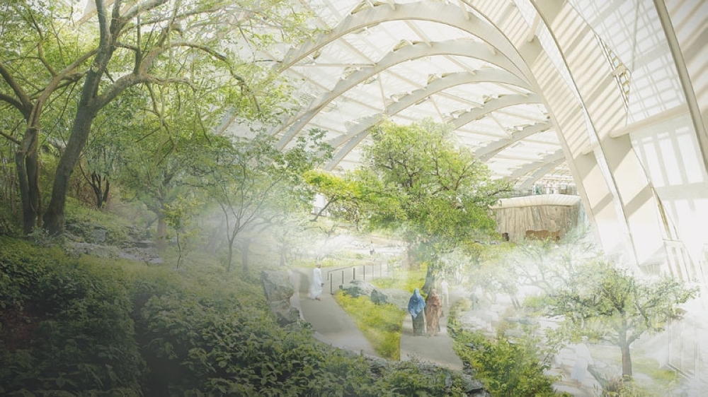 Photos by Midhun Raj