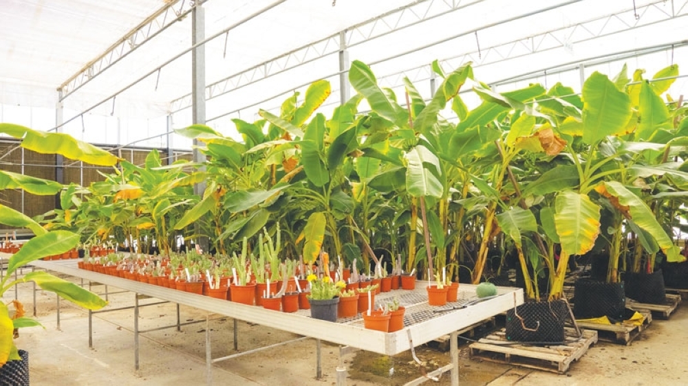 Photos by Midhun Raj