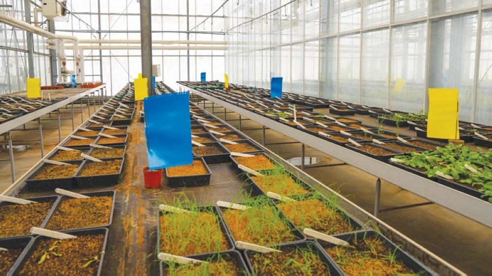 Photos by Midhun Raj