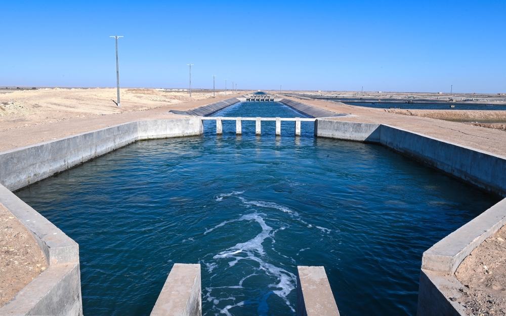 Pilot Project of Al Khuwayma Shrimp Farming