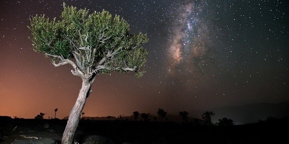 EA to finalize Nature Reserves Strategy soon   