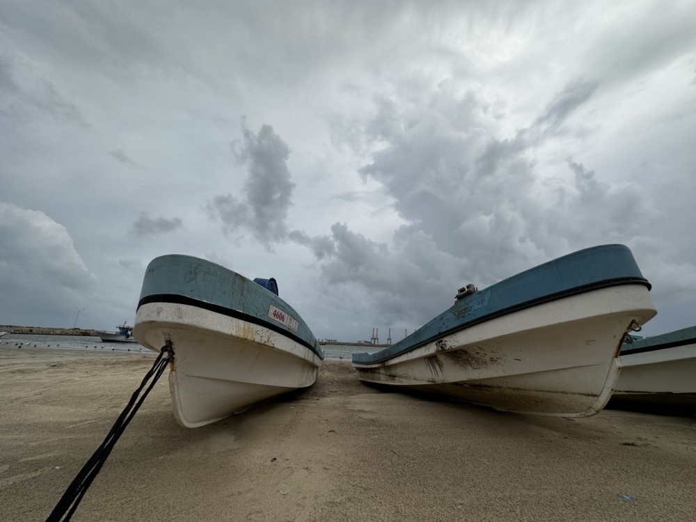 MAFWR is keen to tap private investment and expertise in the operation of a string of fish markets around Oman.