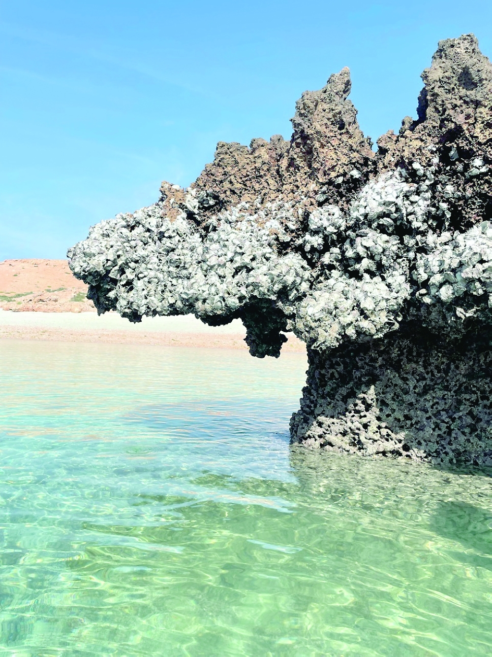Coral formations at Dimaniyat Islands  