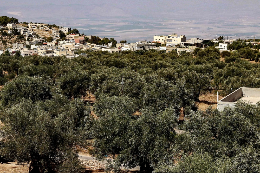 A picture shows a view of some of the oldest olive trees in Jordan at a farm in Ajlun Governorate, close to the Jordan River and the Israeli border, on September 25, 2023. Jordan, the tenth largest producer of olives in the world according to the World Olive Council, boasts many ancient trees that have become an integral part of the country's identity and culture, but are threatened today by urban expansion, illegal logging for fire wood and uprooting to the homes of the wealthy for decoration. (Photo by Khalil MAZRAAWI / AFP)

