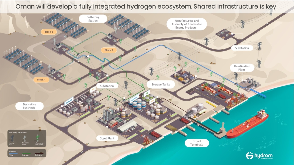  A new company has been incorporated to oversee the establishment of shared infrastructure for green hydrogen projects.