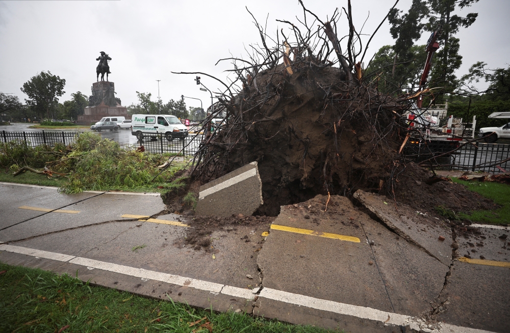 Tree branches lie on the floor next to a bicycle lane damaged by a fallen tree, after a severe storm in Buenos Aires, Argentina
