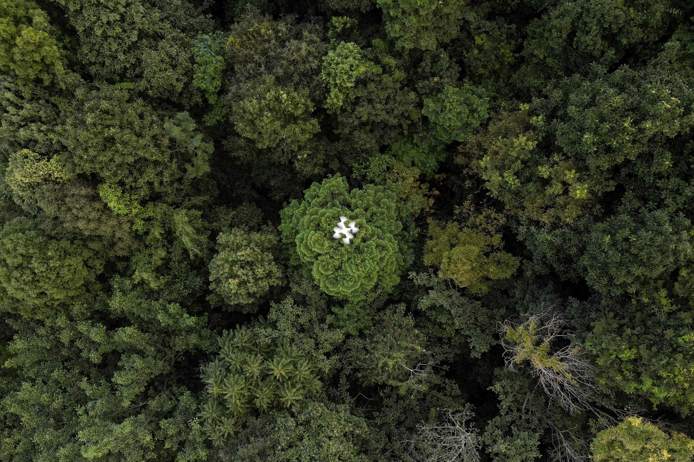 This aerial photograph shows a drone doing a forest restoration survey over a reforested area in Chiang Mai. - AFP
